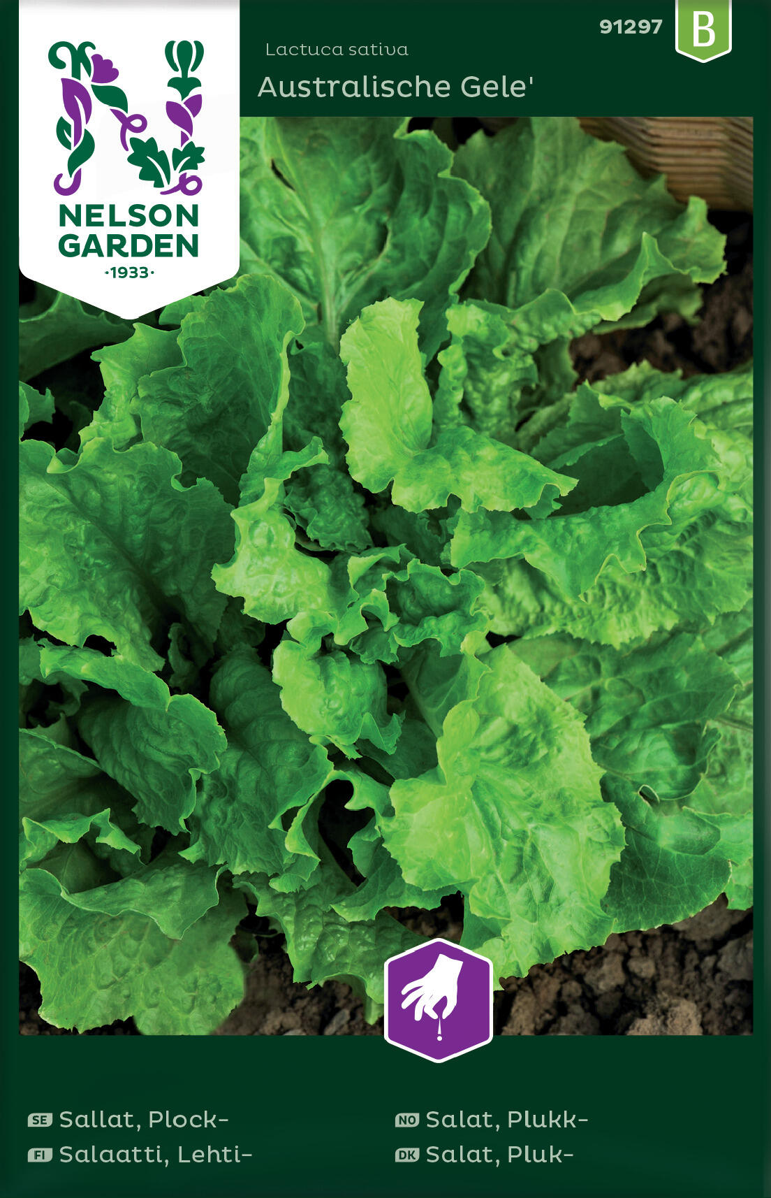 Bladsalat 'Australische Gele'